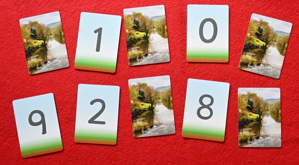 Ten cards are laid on the table. Five of them showing different digits. The other five are reversed, with no useful unformationshowing.