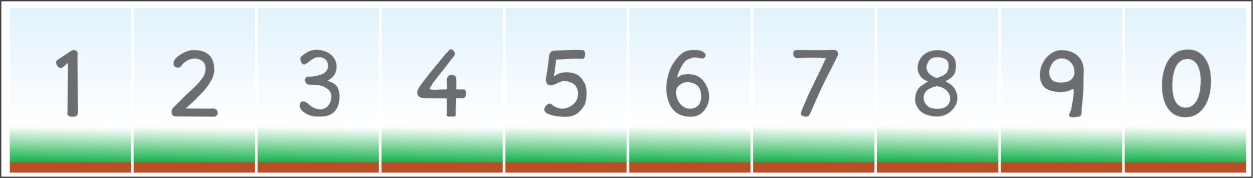 Description of a picture